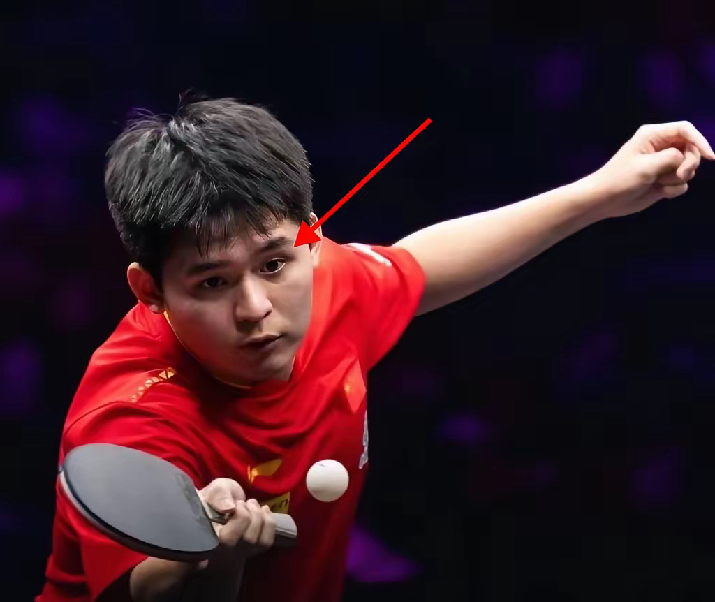 爱游戏娱乐-包含法国乒乓球队强势比利时乒乓球队，王皓制霸全场的词条