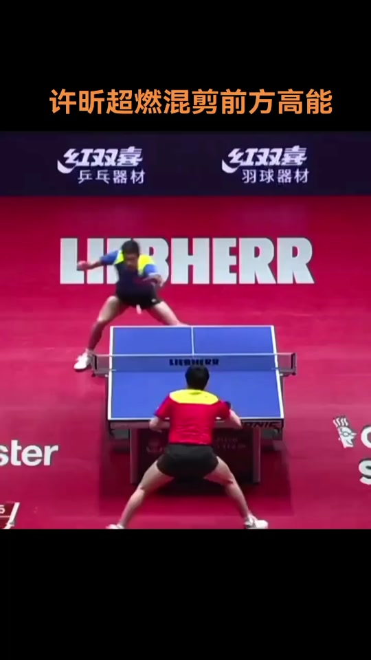 德国乒乓球队绝杀比利时乒乓球队，许昕高光表现的简单介绍