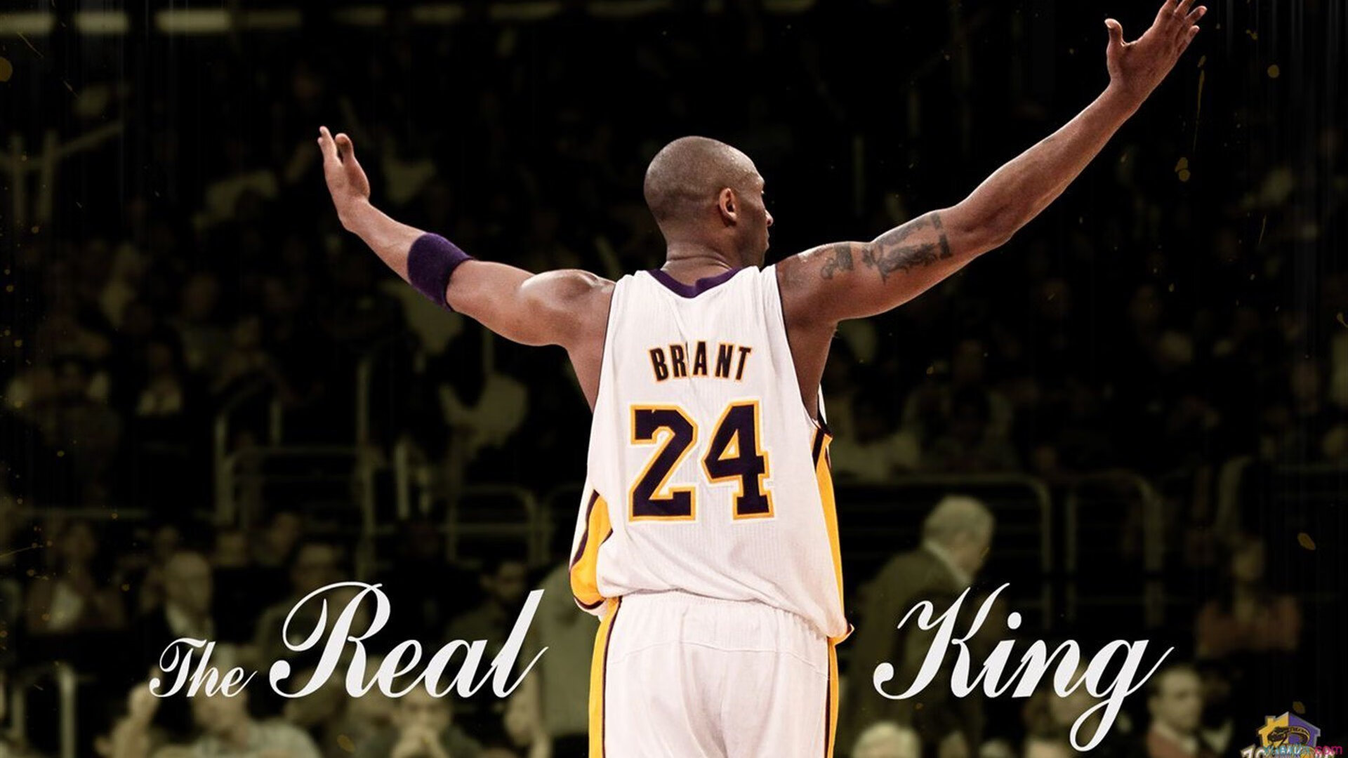 跨界传奇,当独行侠精神照亮欧冠战场—从辽宁到欧洲的接管者哲学